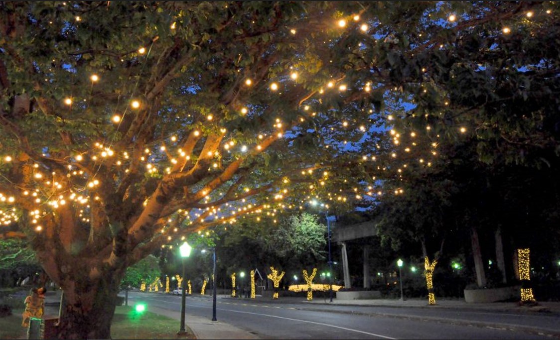 Veja como ficou a decoração de Natal em Poços de Caldas